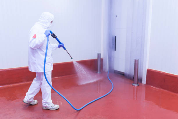 Best Graffiti Removal  in Brooklyn, WI